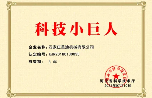 2021 technology giants