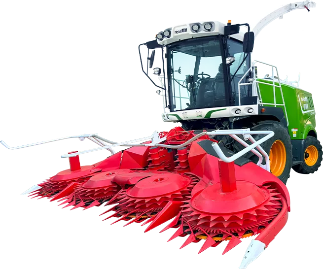 Get in Touch with Meidi Now!