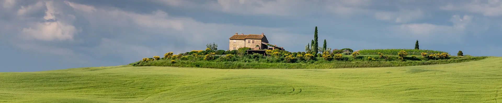 Get in Touch with Meidi Now!