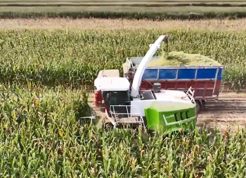 A Machine of 500 Thousand Reais That Allows You to Harvest 80 Tons of Grain