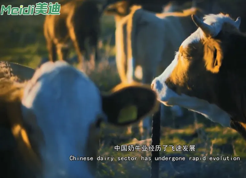 ''Continuous Improvement and Winning with Quality''—— Meidi Green Forage Harvester