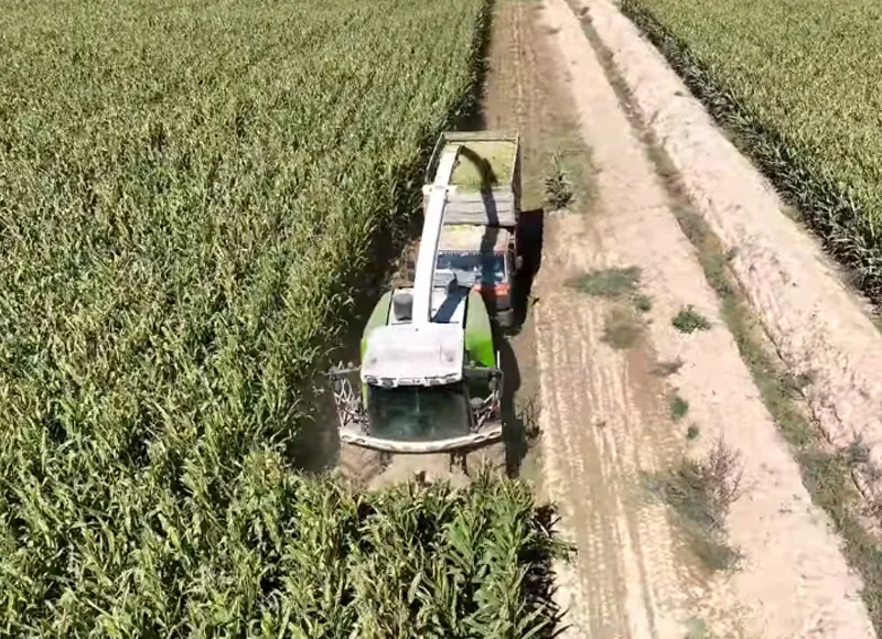 Meidi Green Forage Harvester