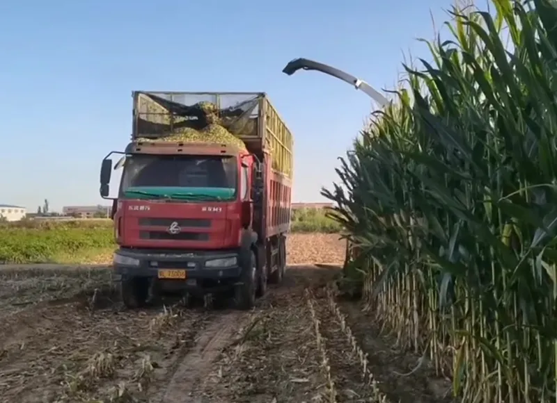 Revolutionize Your Forage Harvesting!