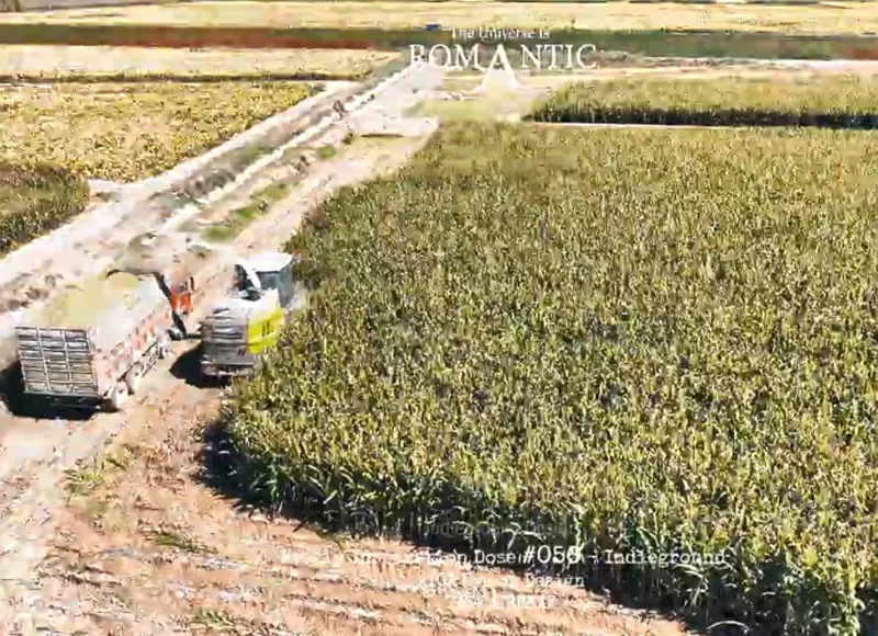 What Do You Think of a $120,000 Self-Propelled Silage Machine?