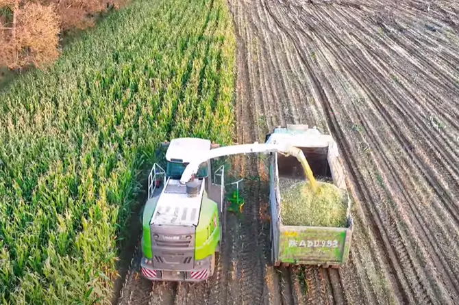 Check out the Meidi Silage Harvester in Action!
