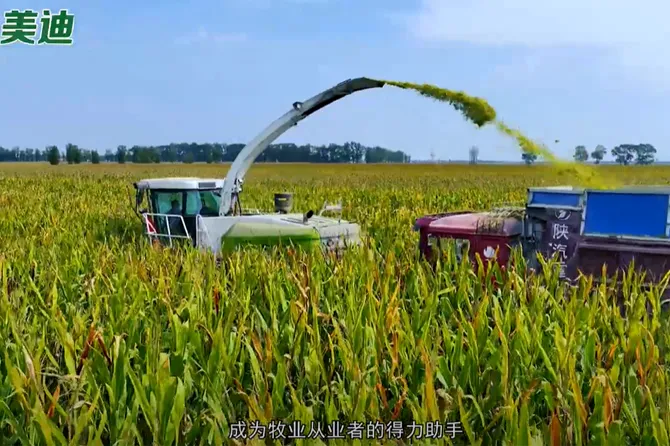 Continuous Improvement and Winning with Quality—— Meidi Green Forage Harvester