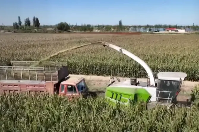 Forage Silage Harvester with Big Engine High Efficiency