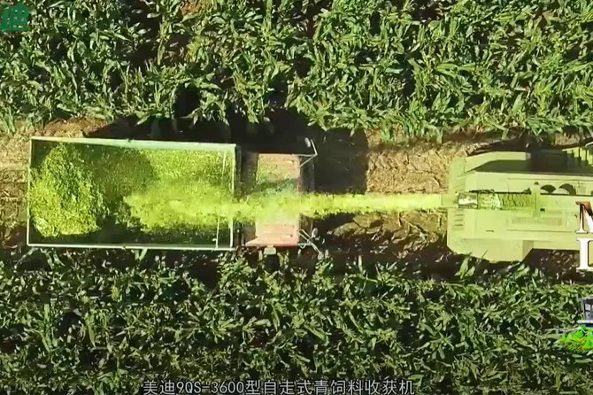 Meidi 9qs-3600 Self-Propelled Silage Harvester——Powerful Performance＆ Efficient Harvesting