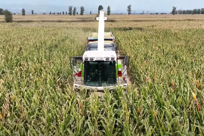 Meidi Silage Harvester: Revolutionizing Your Harvesting Experience