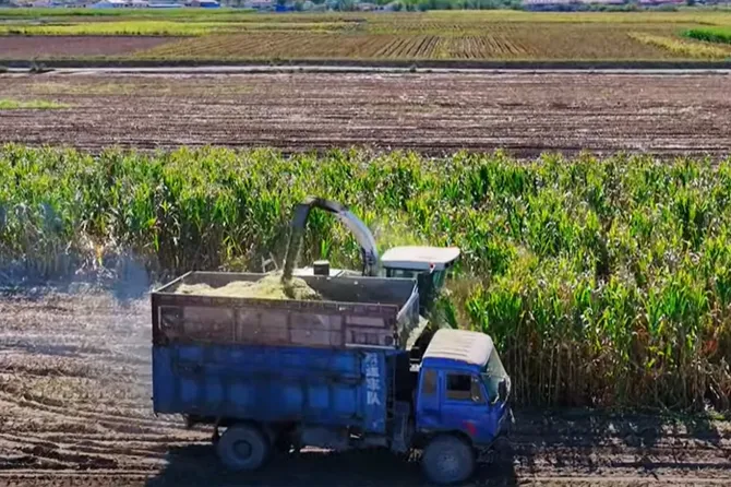 Monday Blues? Not When We Have the Solution for Efficient Farming!