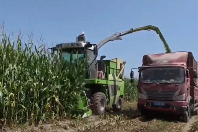 New Model of Forage Harvester by Meidi Machinery: 3400w