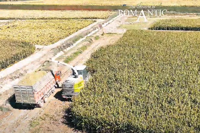 O Que Você Acha De Uma Máquina De Silagem Autopropelida De US$ 120.000？