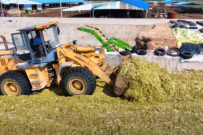Revolutionize Your Livestock Feeding with Meidi Silage Harvester!