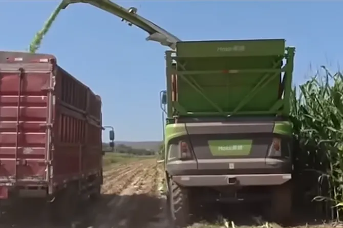 The Last Day of the Week! After This Line, Going to Have Fun