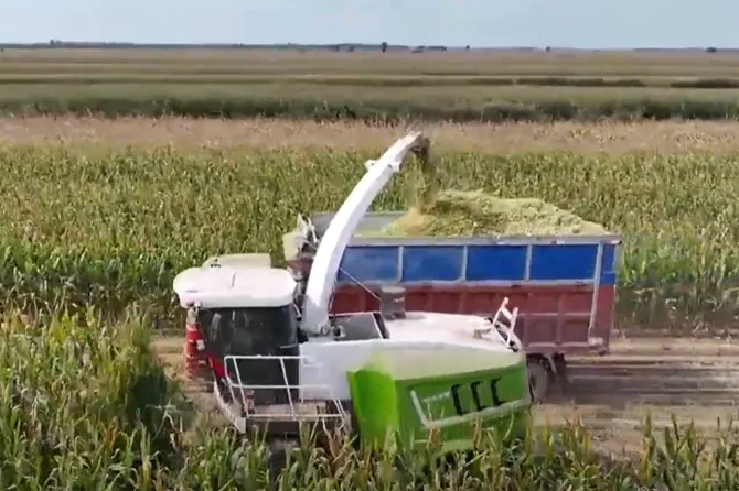 Uma Máquina De 500 Mil Reais Que Permite Colher 80 Toneladas Grãos