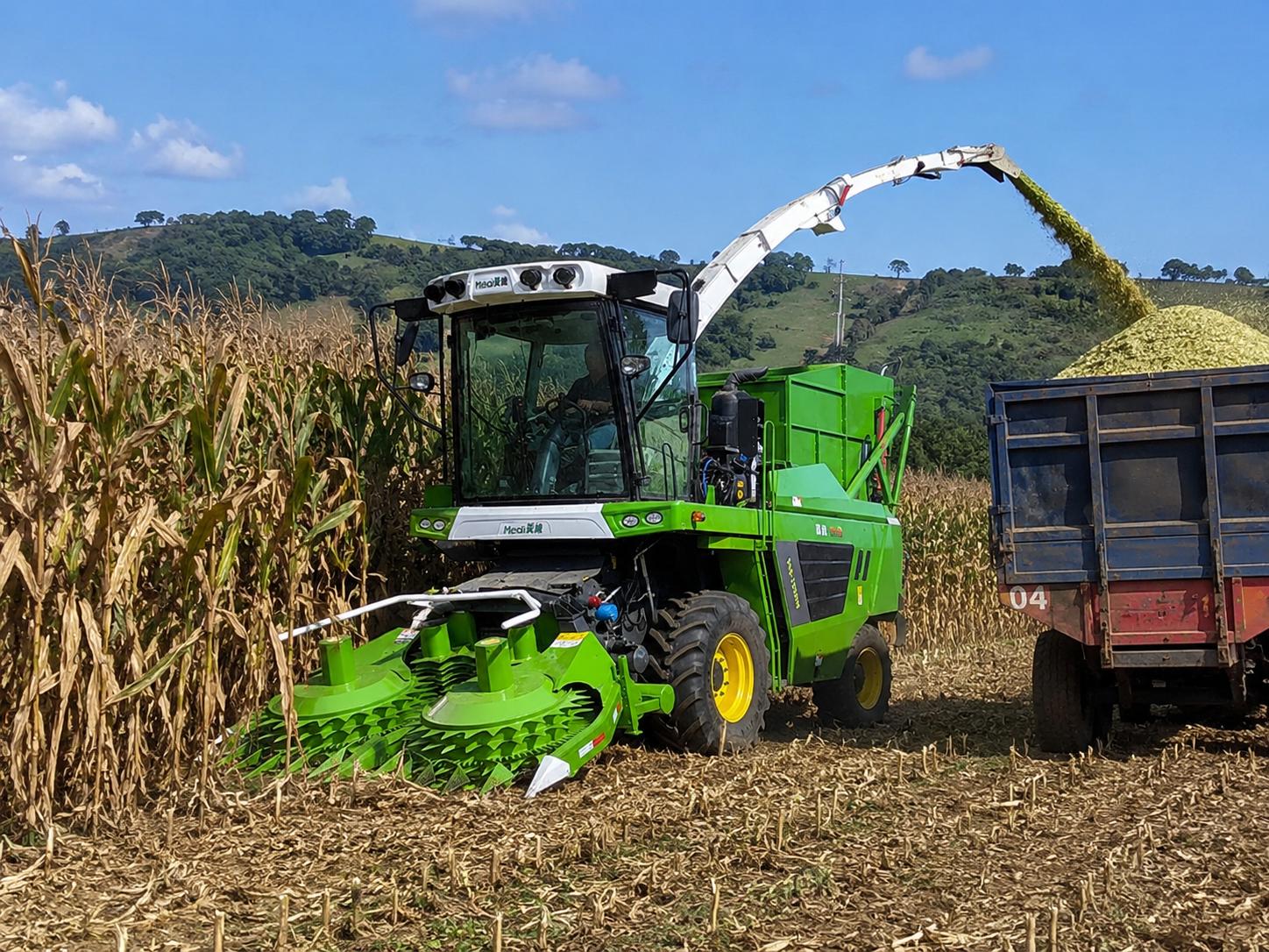 Meidi silage harvester working_in_Santa Catarina Brazil corn field Meidi silage harvester working_in_Santa Catarina Brazil corn field